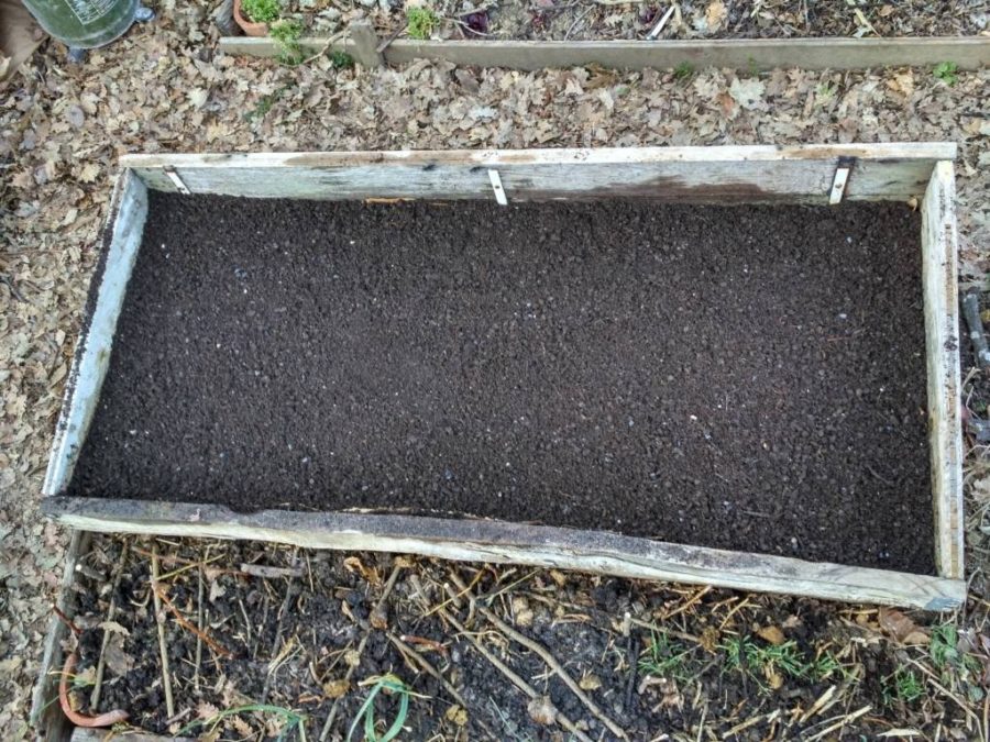 Strato di compost maturo per seminare
